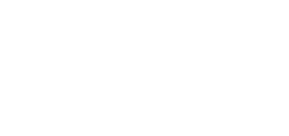 Chavez Roofing Services Inc