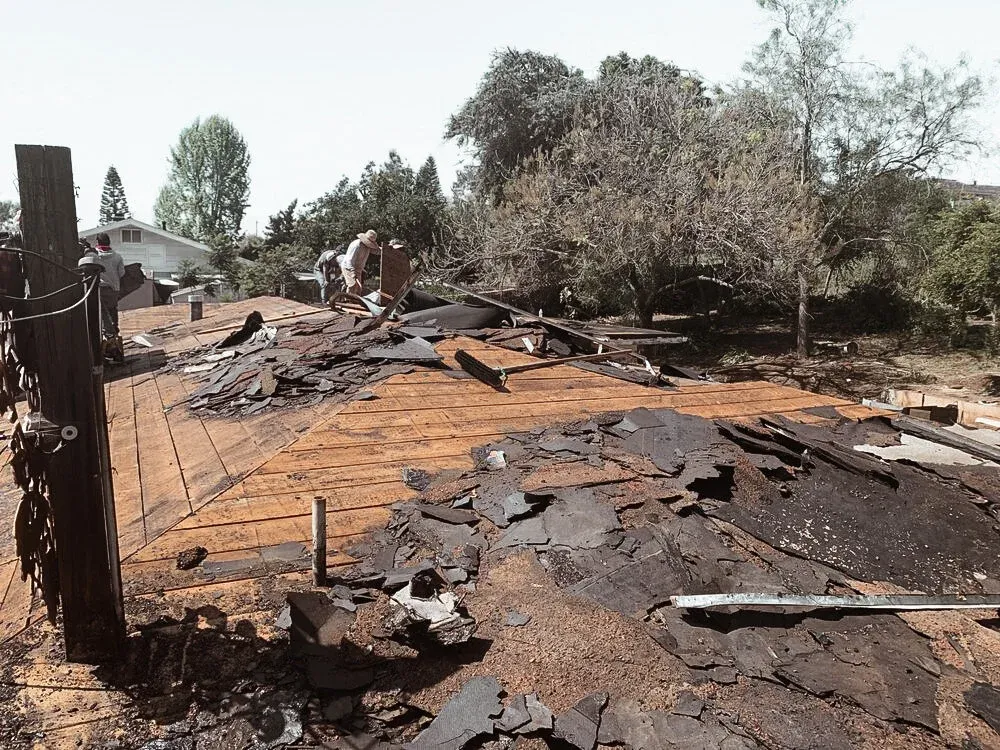Old roofing torn back to the decking to trace a leak